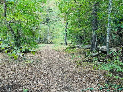 22-09-10 16-21-15 1938